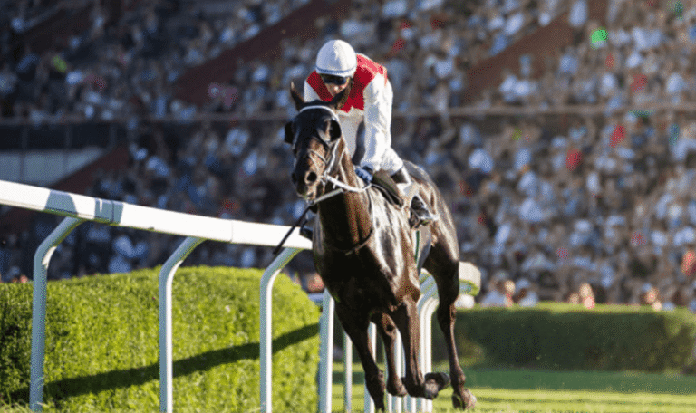 The Top 10 Horse Racing Events You Can't Miss