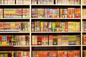 light novel vs manga distinction
